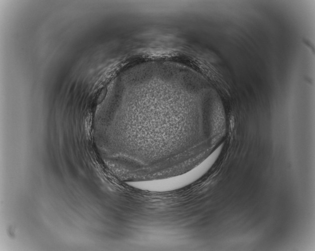 X0000099941300200806131416