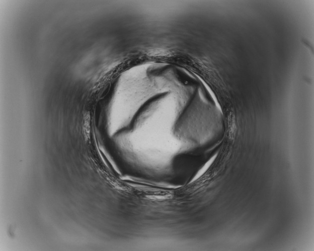 X0000099941301200806131416