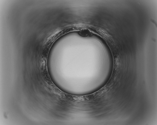 X0000099941302200806131416