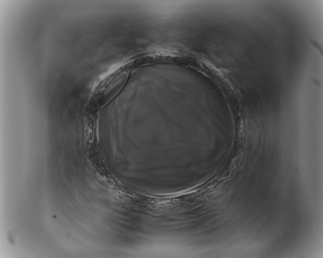 X0000099941303200806131416