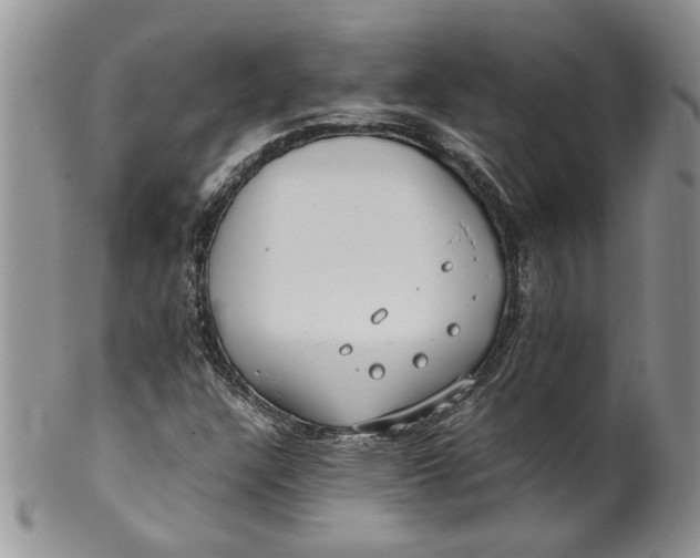 X0000099941304200806131416