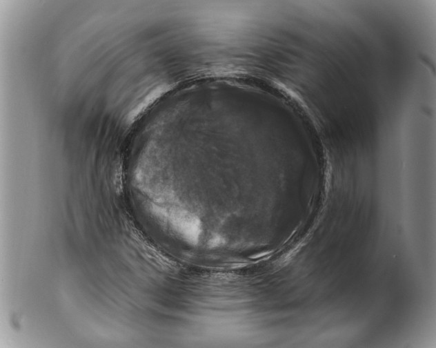 X0000099941306200806131416