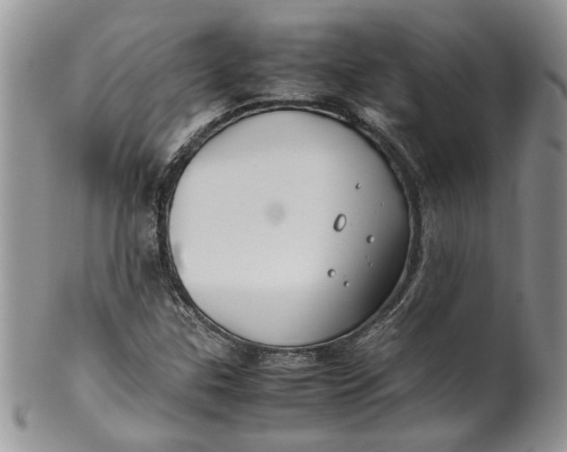 X0000099941307200806131416