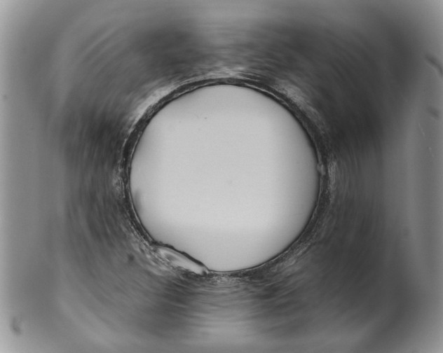 X0000099941308200806131416