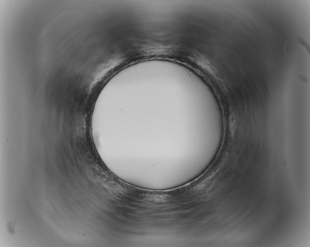 X0000099941309200806131416