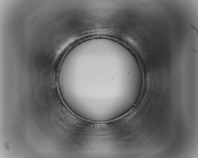 X0000099941310200806131416