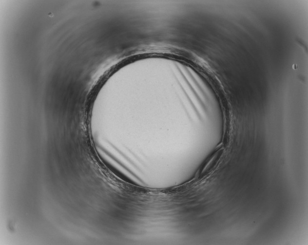 X0000099941312200806131416