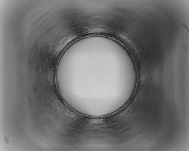 X0000099941313200806131416