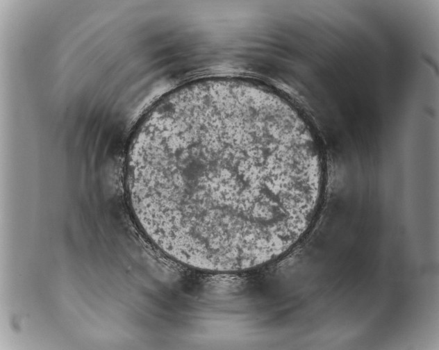 X0000099941314200806131416