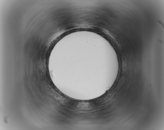 X0000099941315200806131416