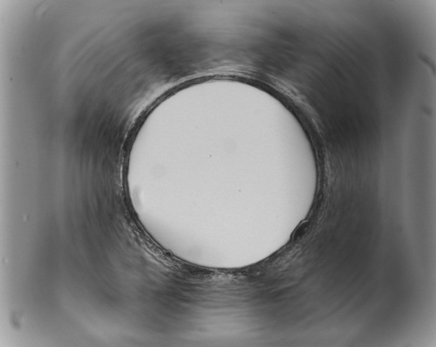 X0000099941316200806131416