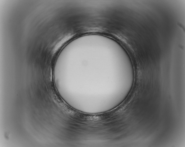 X0000099941317200806131416