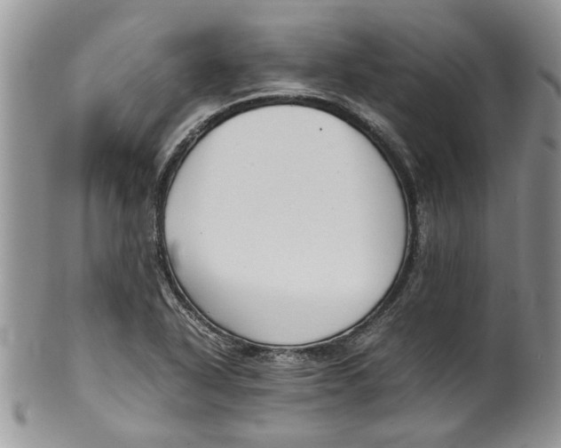 X0000099941318200806131416