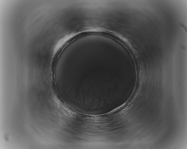 X0000099941319200806131416