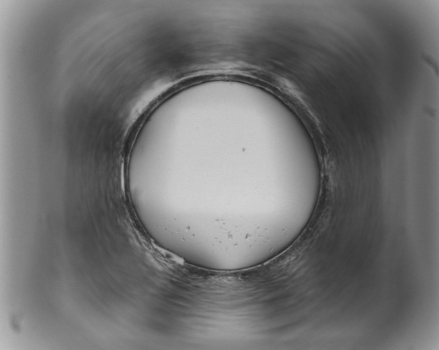 X0000099941320200806131416