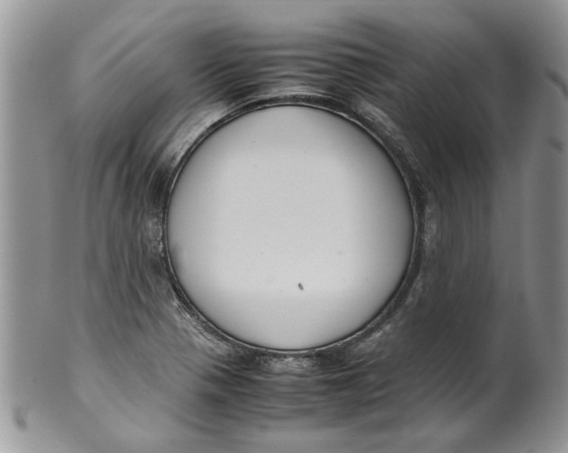 X0000099941321200806131416