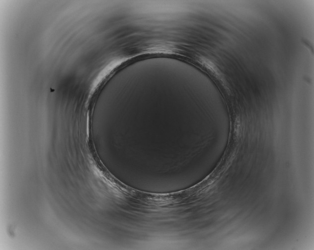 X0000099941323200806131416