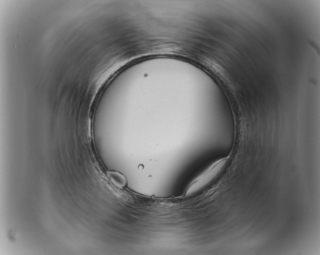 X0000099941324200806131416