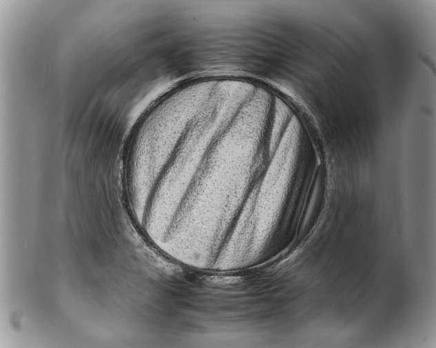 X0000099941325200806131416