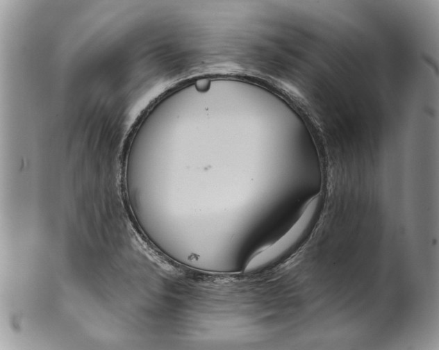 X0000099941326200806131416