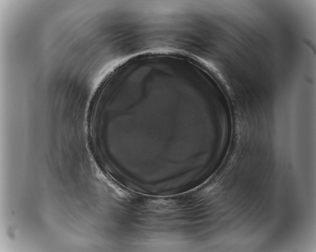 X0000099941327200806131416