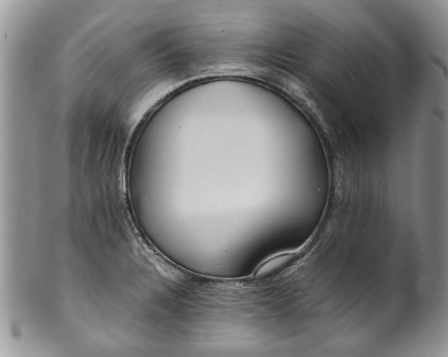 X0000099941328200806131416