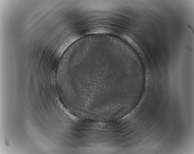 X0000099941329200806131416