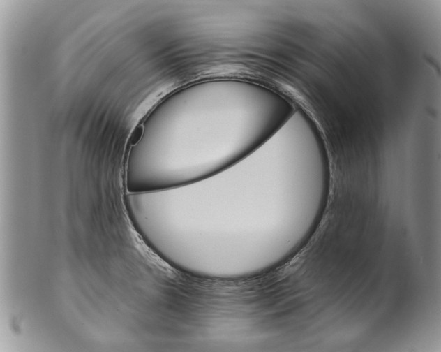 X0000099941330200806131416