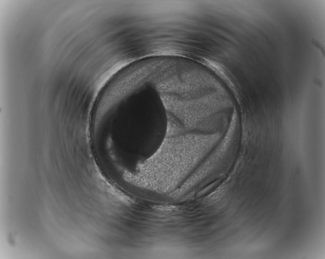 X0000099941331200806131416