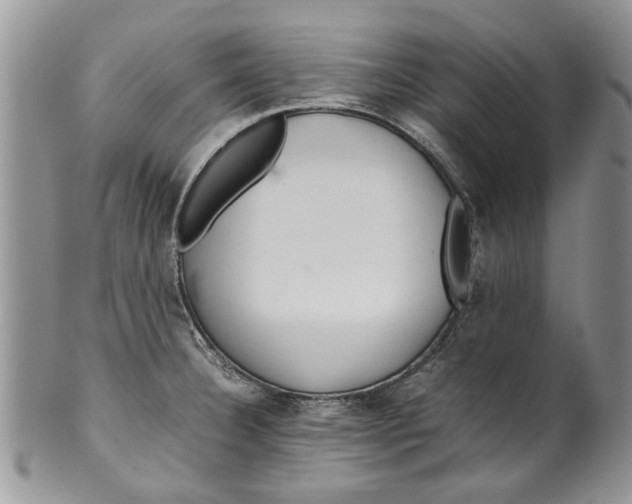 X0000099941332200806131416