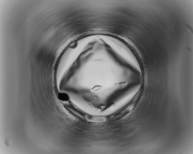 X0000099941333200806131416