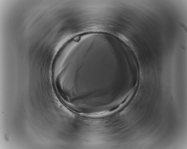 X0000099941334200806131416