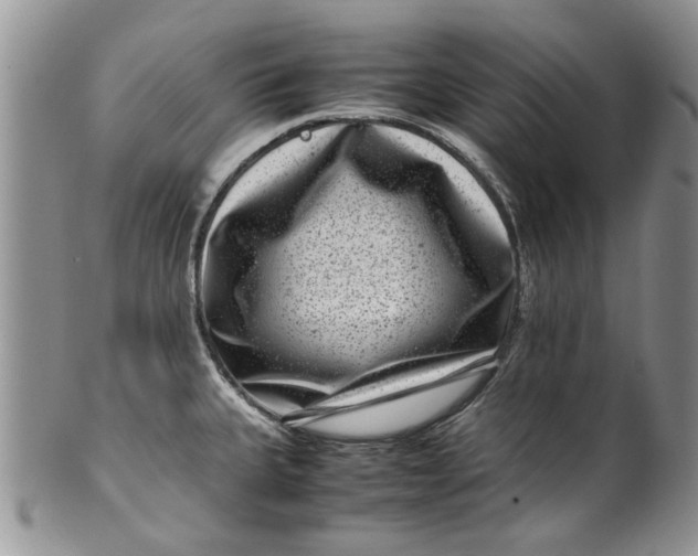 X0000099941335200806131416