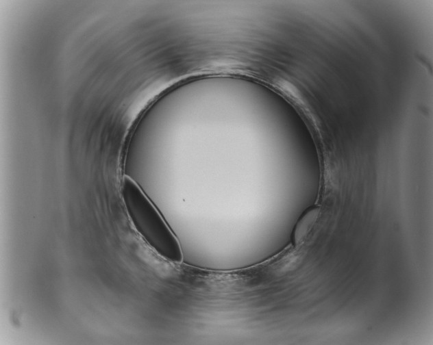 X0000099941336200806131417