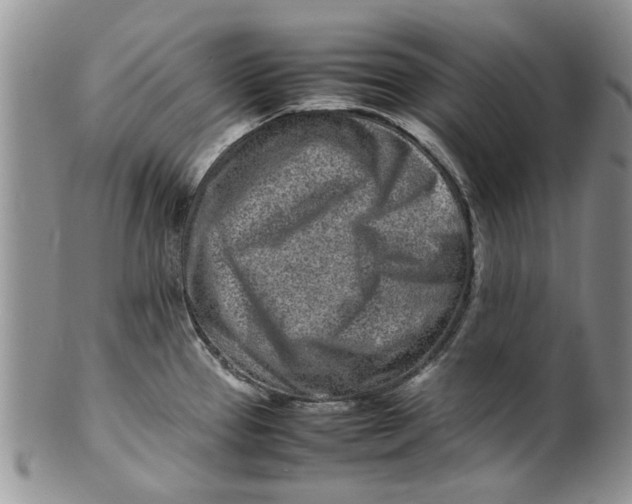 X0000099941337200806131417