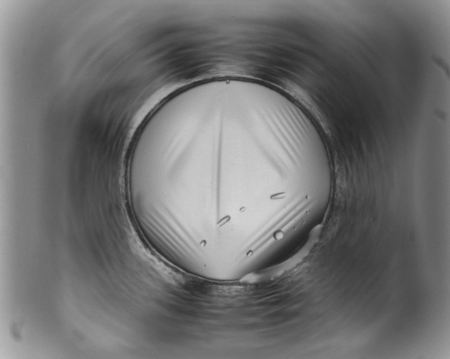 X0000099941339200806131417