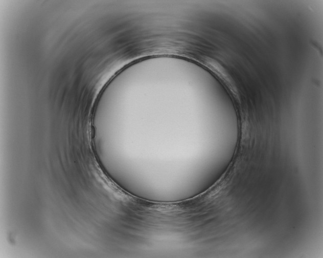 X0000099941340200806131417