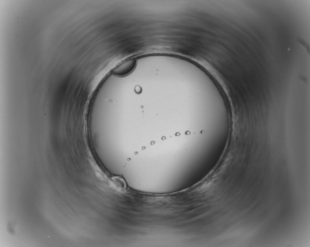 X0000099941341200806131417