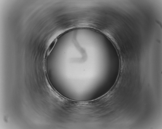 X0000099941342200806131417