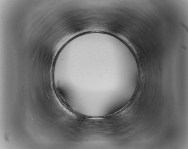 X0000099941343200806131417