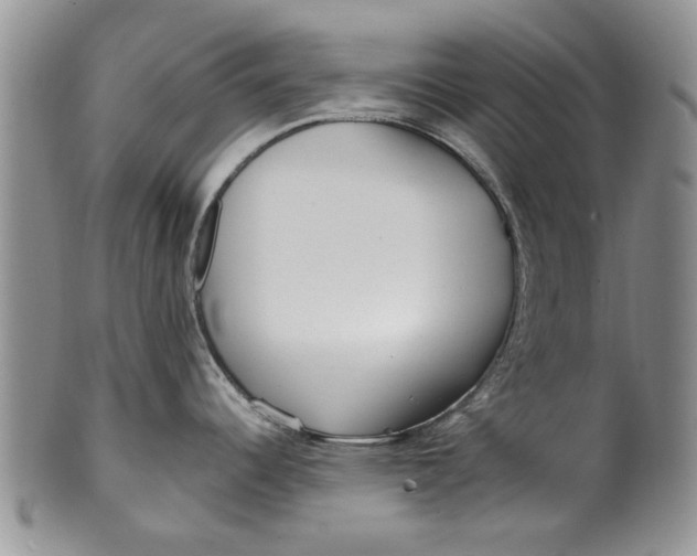 X0000099941344200806131417