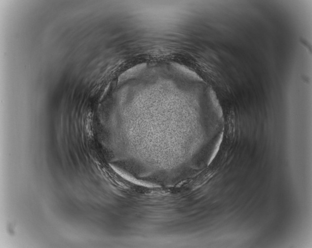 X0000099941346200806131416