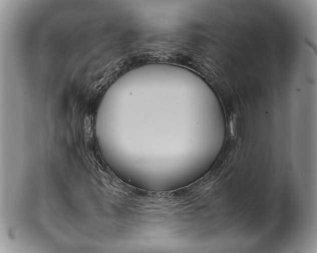 X0000099941347200806131416