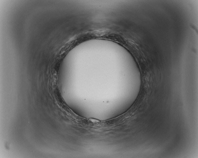 X0000099941349200806131416