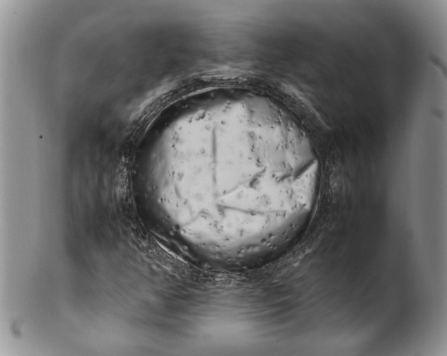 X0000099941350200806131416