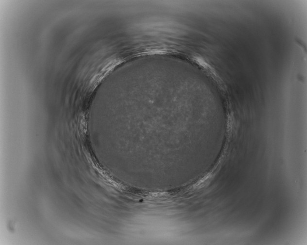 X0000099941353200806131416