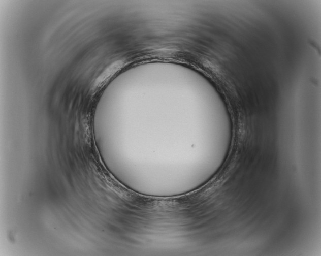 X0000099941354200806131416