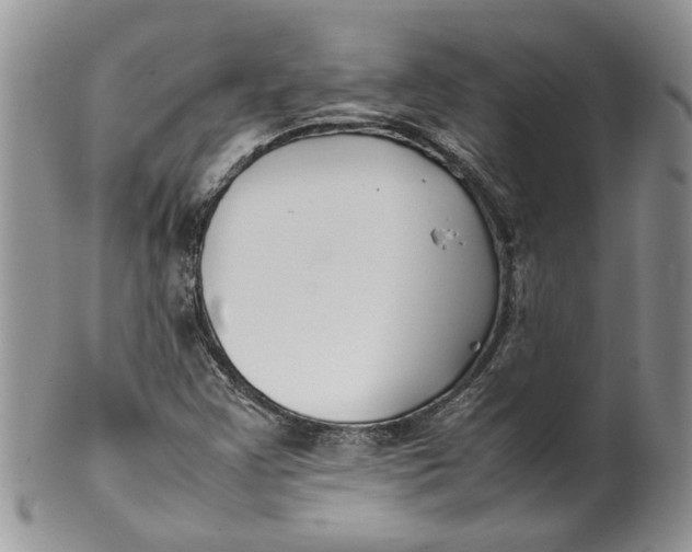 X0000099941355200806131416