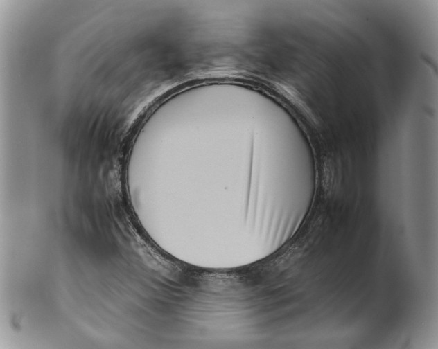 X0000099941356200806131416