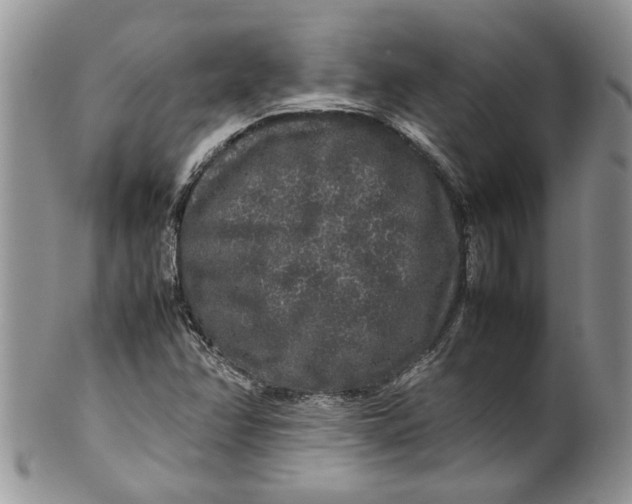 X0000099941358200806131416